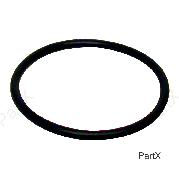 O-Ring (81300)