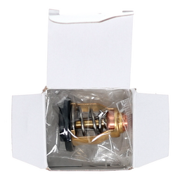 THERMOSTAT thumbnail-2