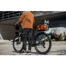 Topeak Urban Basket DX - 22L Black