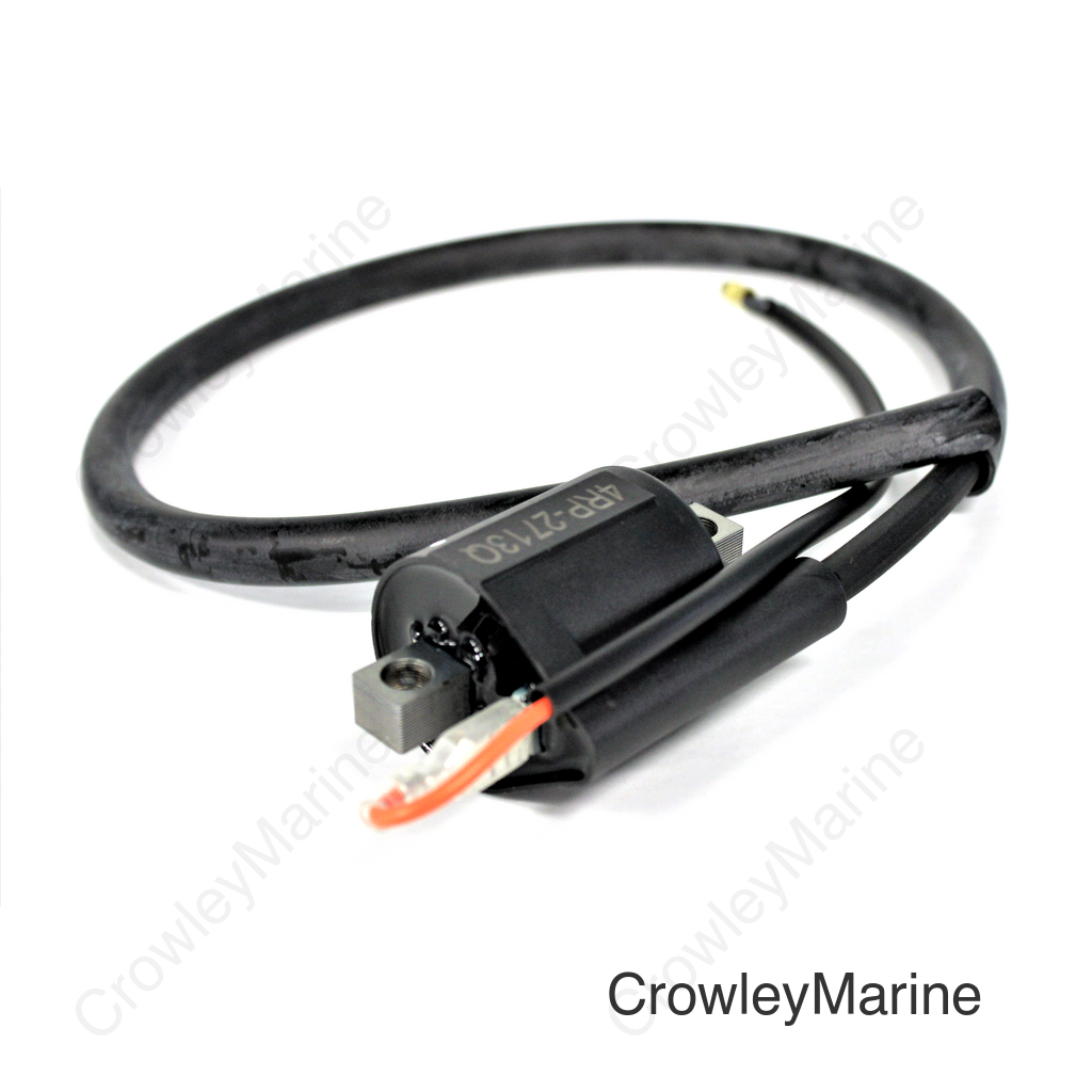 Ignition Coil Assembly
