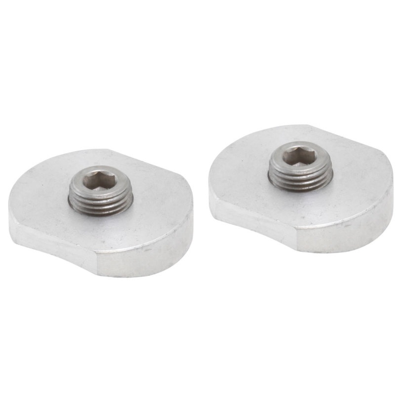AEM 1/8in NPT Injector Bung Weld-In Fitting (2 Pack)