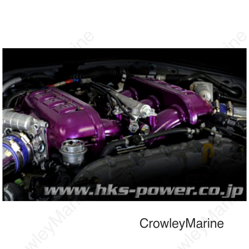 HKS HI-FLOW SURGE TANK FULL KIT R35 GT-R