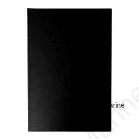 FRIDGE DOOR PANEL BLK GLASS