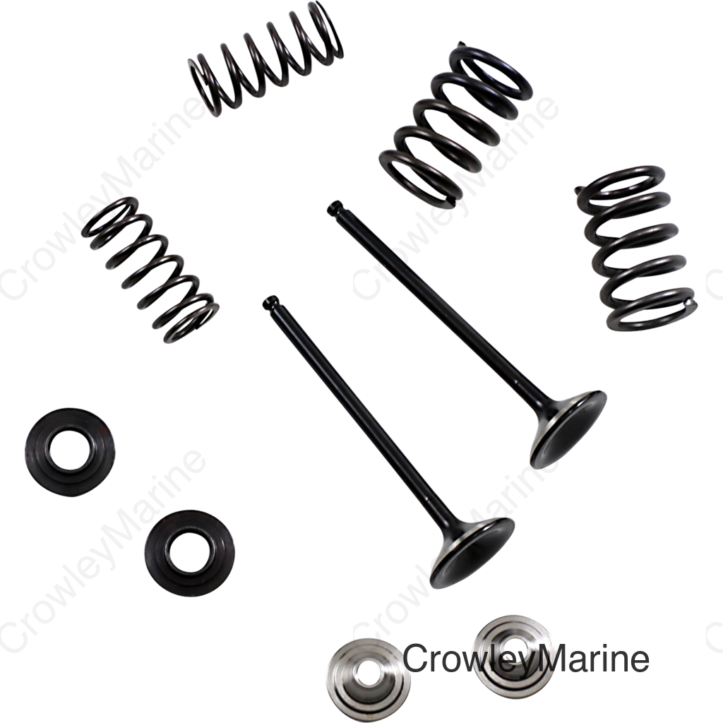 VALVE KIT EX MSE YZ 250F