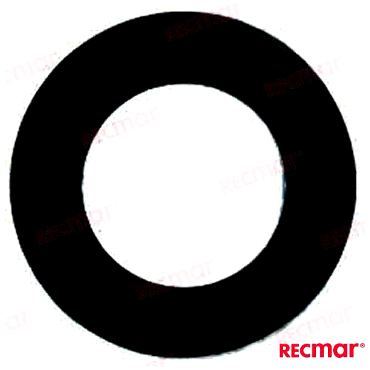 -REC09160-20041