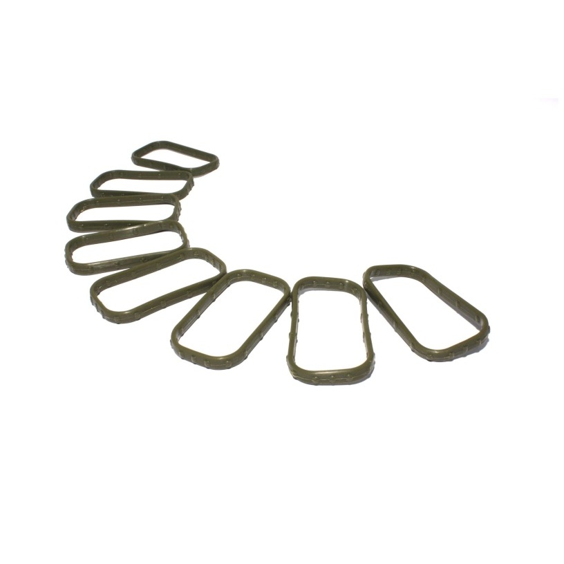 FAST Replacement Intake Port Seal LS3 - Set of 8
