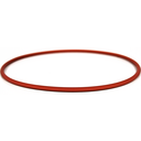 Dust Seal