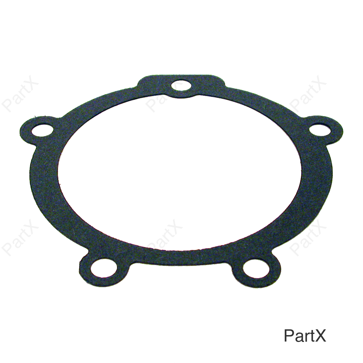 Gasket (32220)