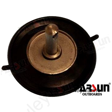 DIAPHRAGM ASSY (PAF4-04090100)