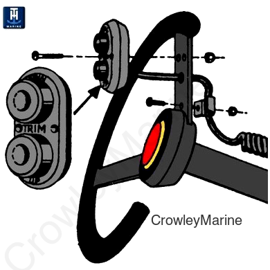 Trim Switch - Steering Wheel