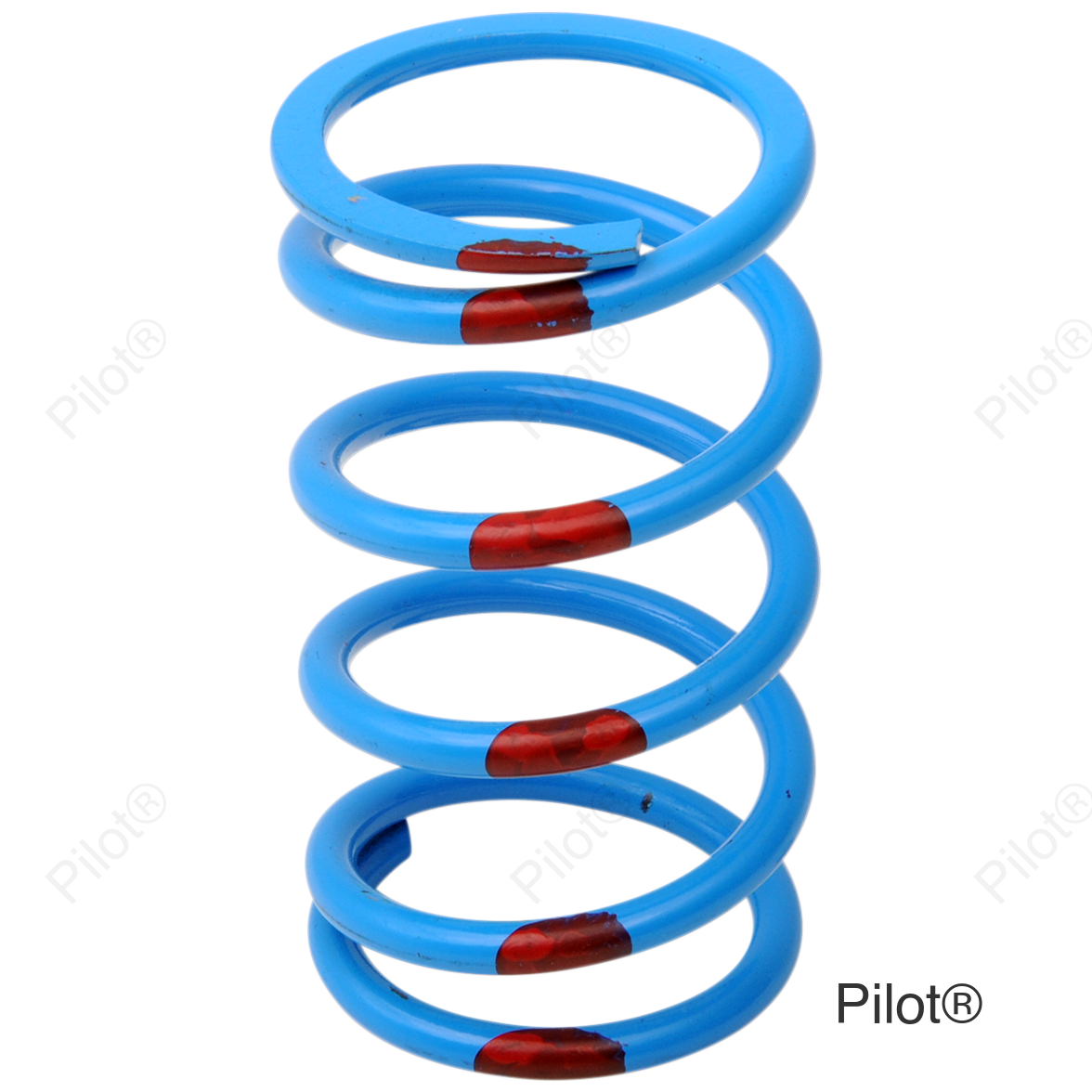 Primary Spring