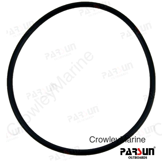 O-RING (PAF20-04060002E)