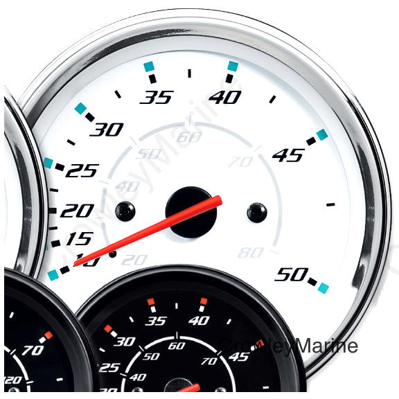 WHITE SPEEDO 50