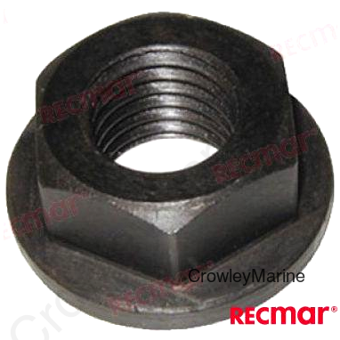 NUT (REC90179-10M14)