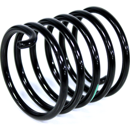 Torsion Spring