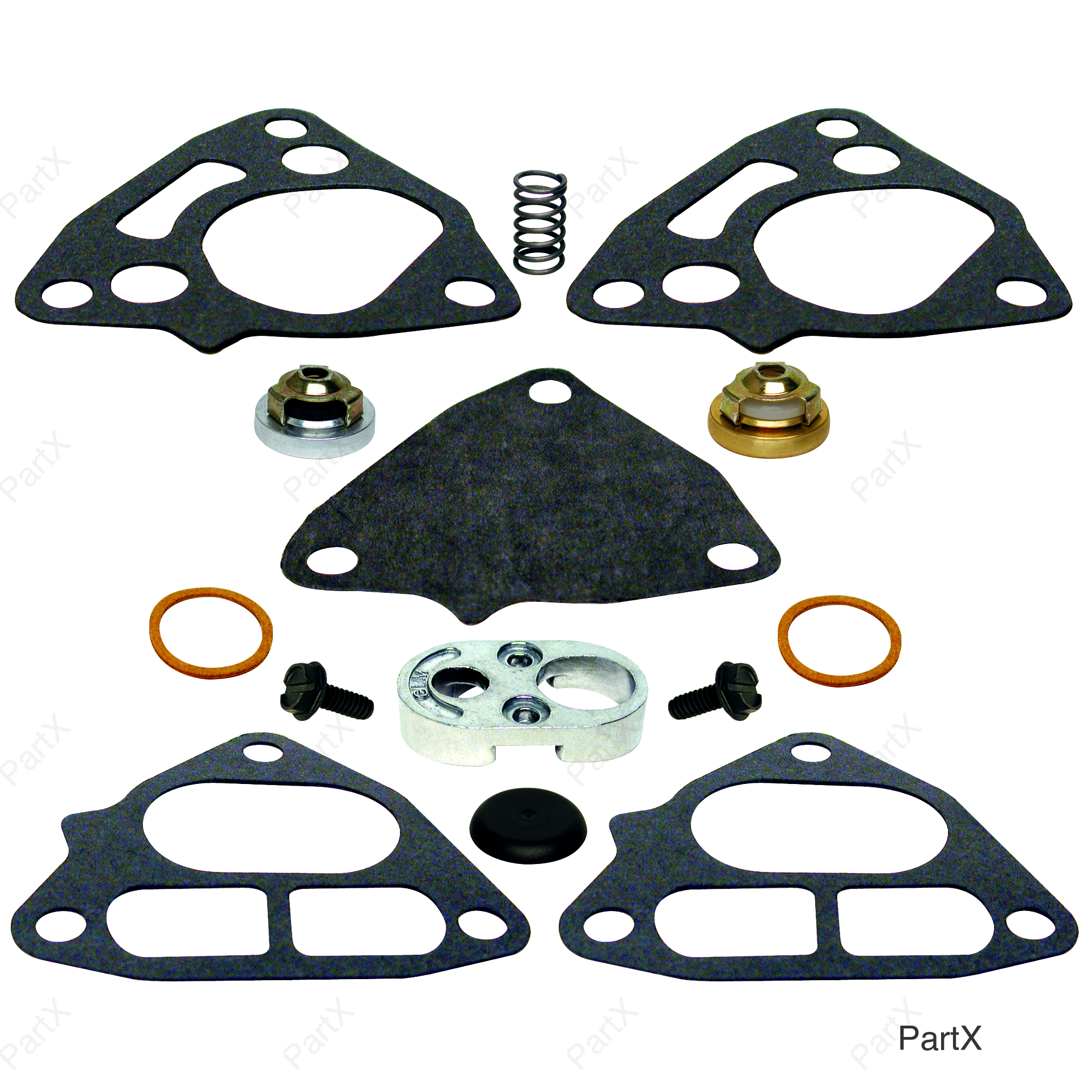Check Valve Kit (40170)