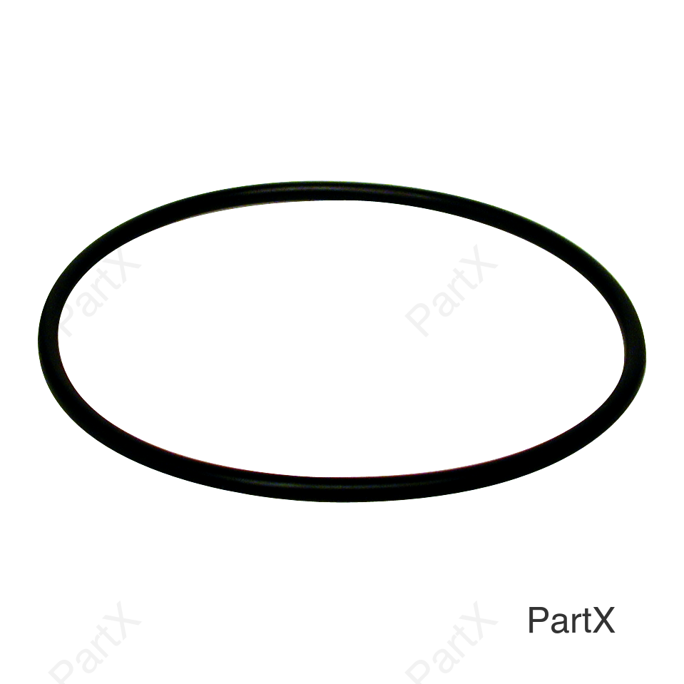 O-Ring (81380)