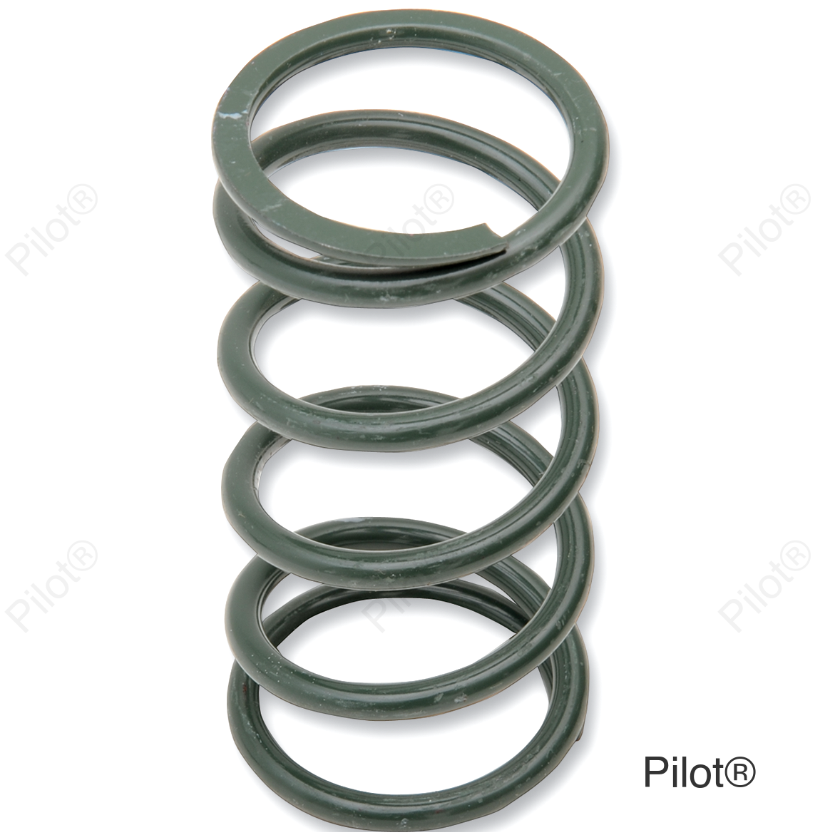 Primary Spring