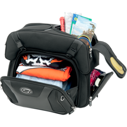 FTB2500 Sport Sissy Bar and Combo Bag thumbnail-6