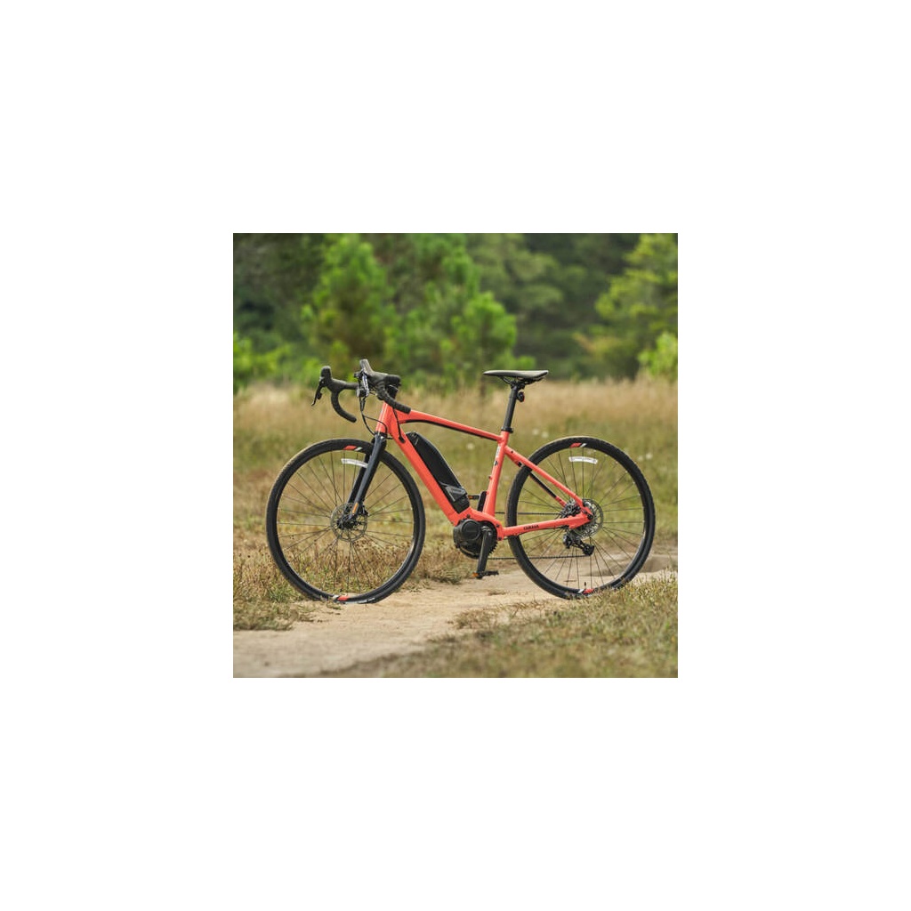 Wabash Coral - Medium