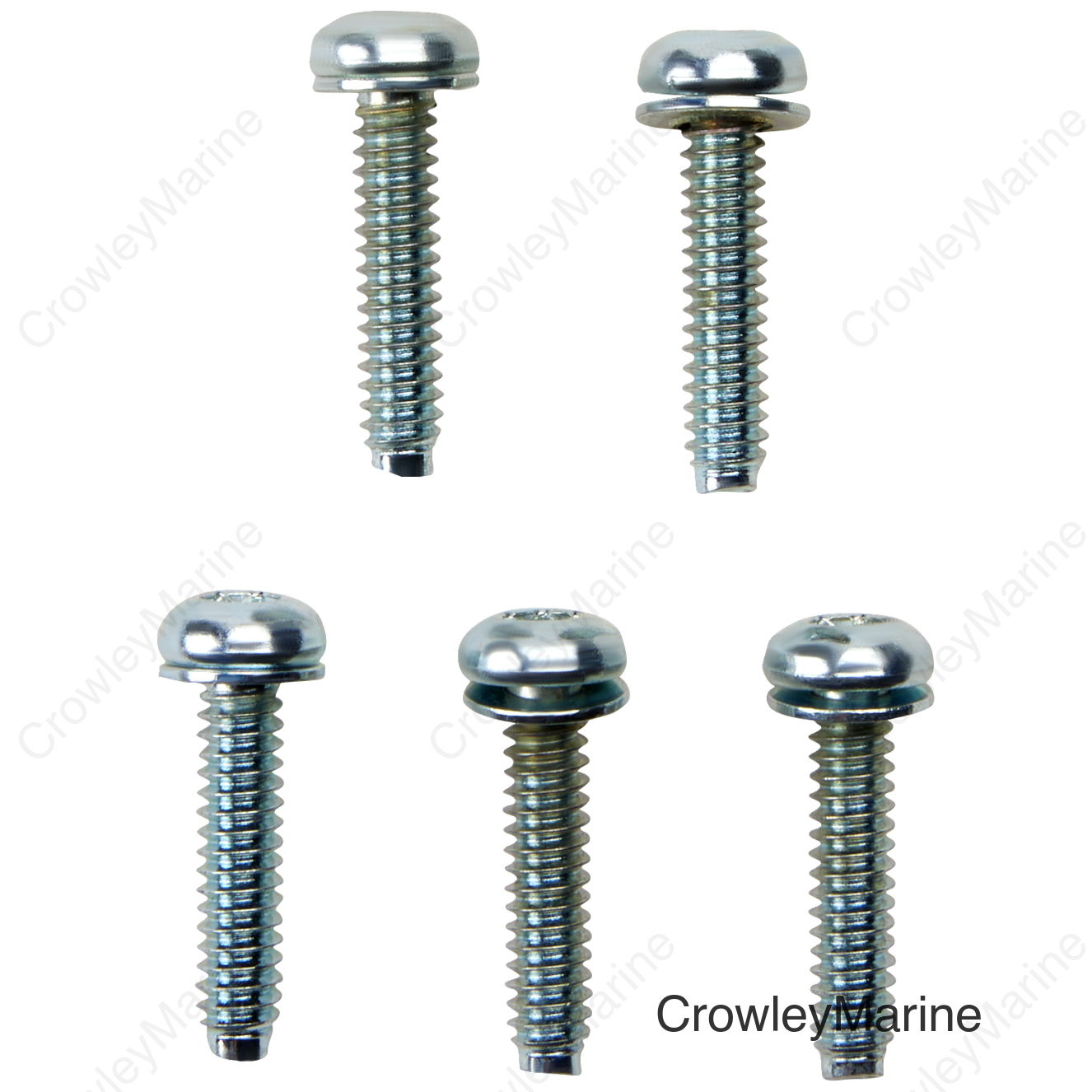 SCREW EFI MNT(1081A) 5PK