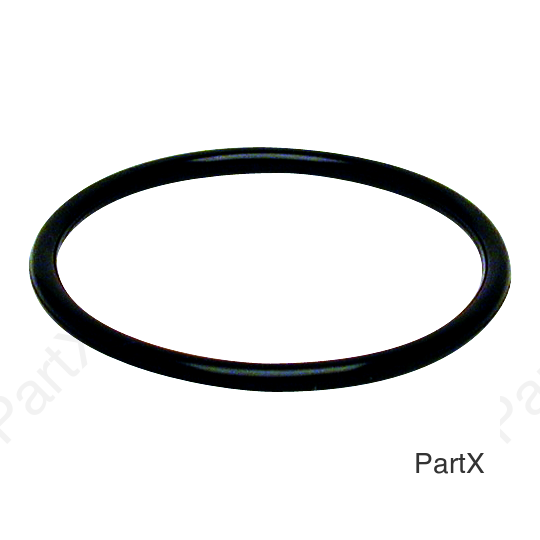 O-Ring (84300)