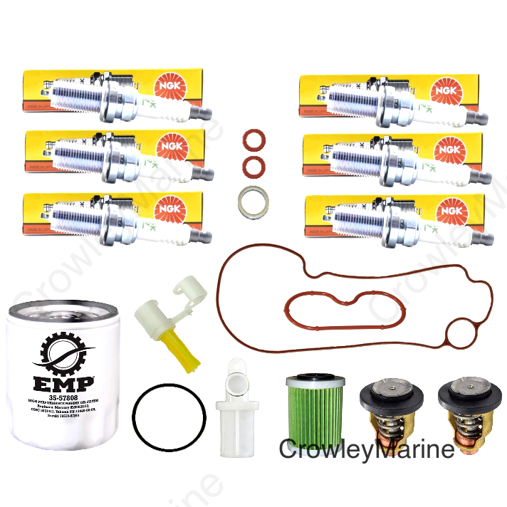 Service Kit, 100 Hour Basic 