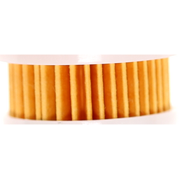 Fuel Filter (40131) thumbnail-2