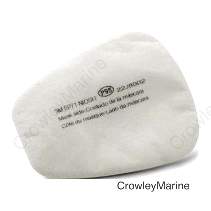 P95 Particulate Filters (10/Box)