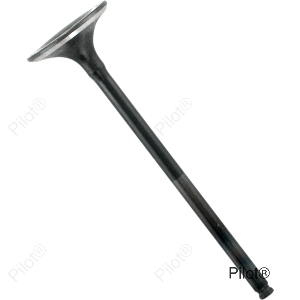 Exhaust Valve