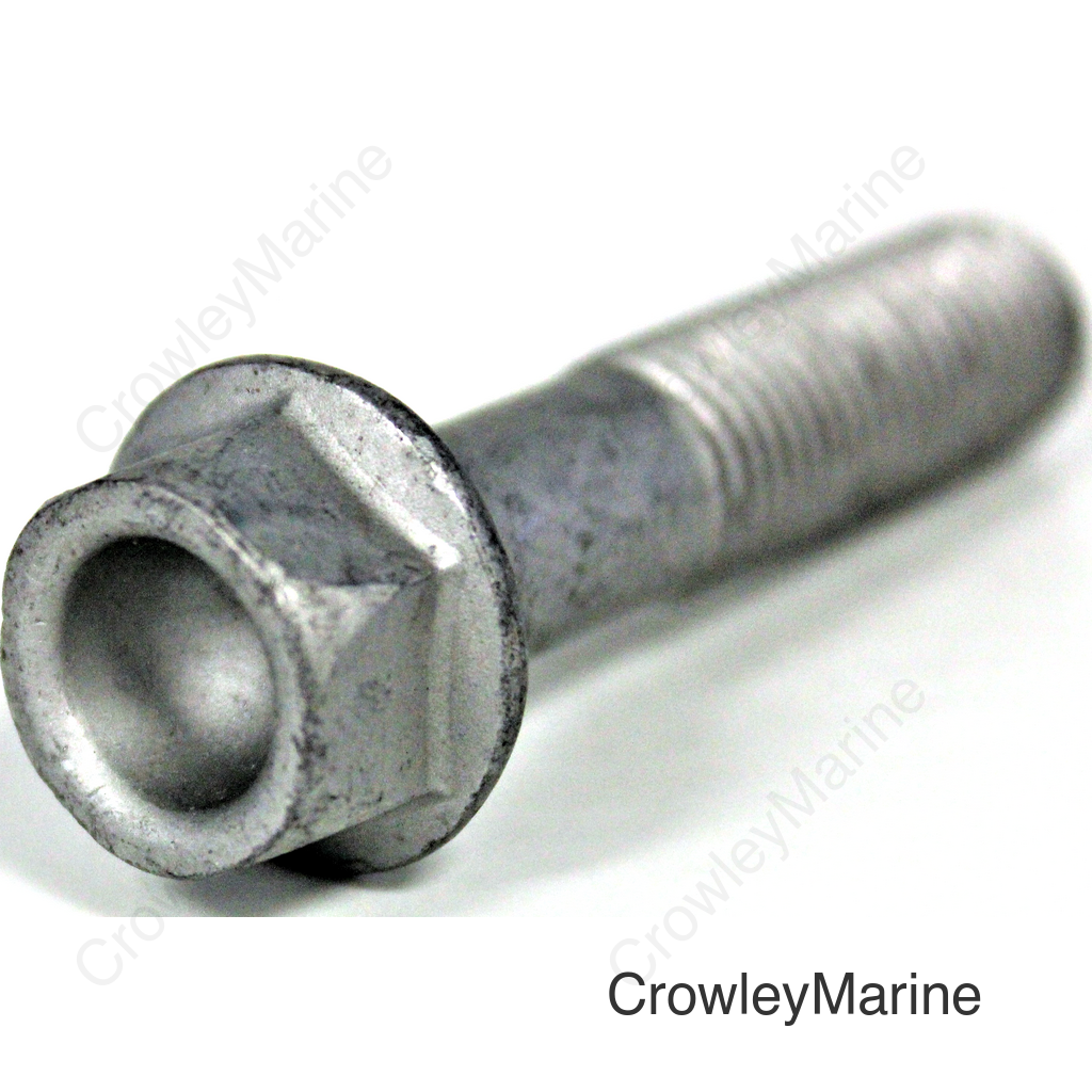 BOLT, FLANGE (10X45)