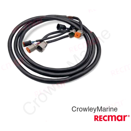 EXTENSION ARNES 10FT (3M)