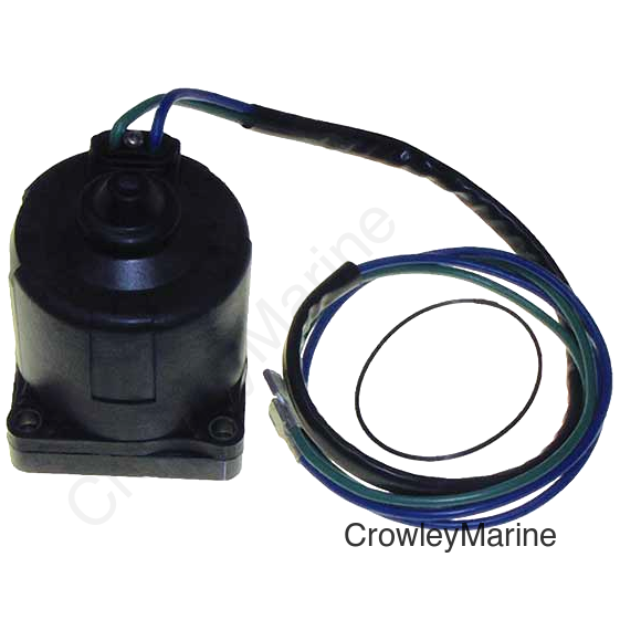 Motor with O-Ring
