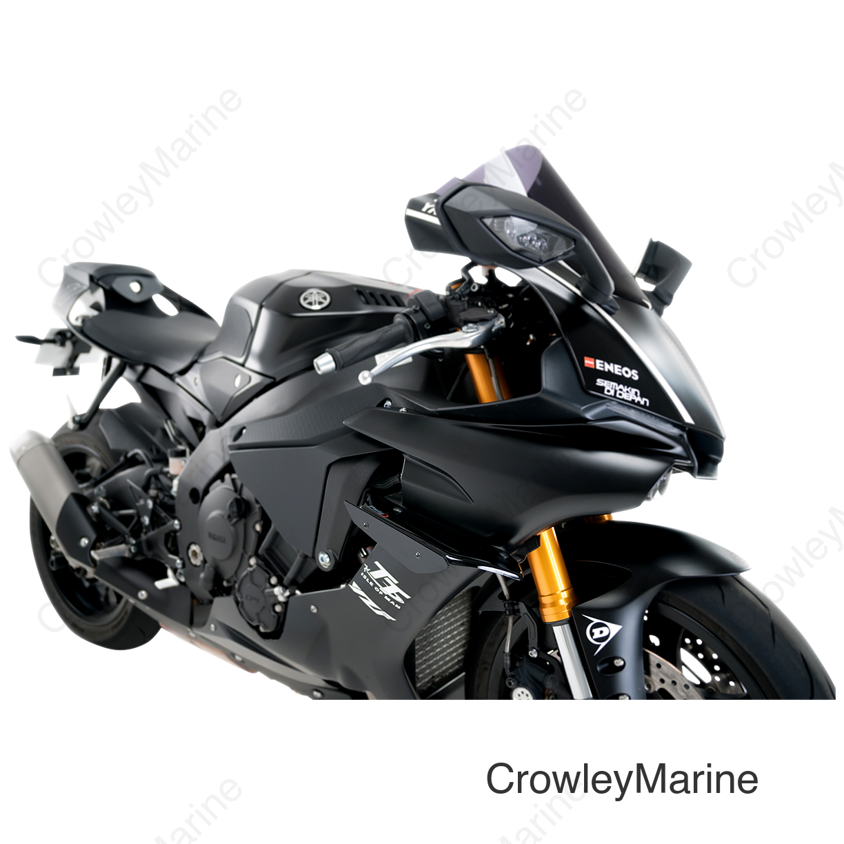 Winglets - YZFR1