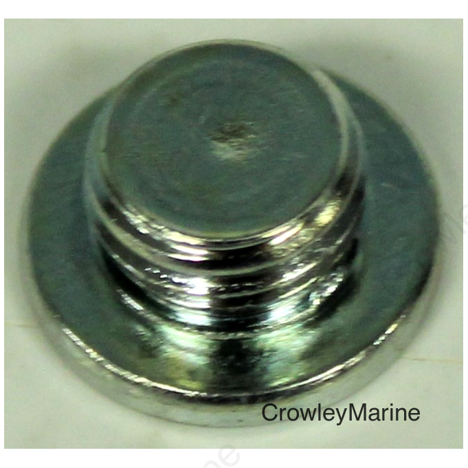 Straight Plug Screw