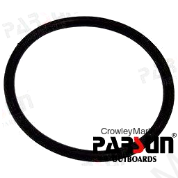 O-RING F47.1X3.5 (PAJISB2401P48)