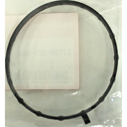 GSKT, THROTTLE BODY