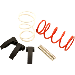 Clutch Kit - RZR Pro R