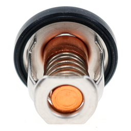 THERMOSTAT COMP thumbnail-3