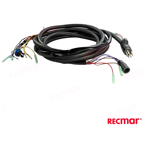 -REC8M0101080