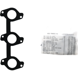 Carburetor Repair Kit