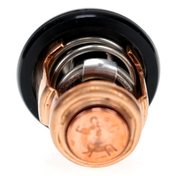 Thermostat thumbnail-5