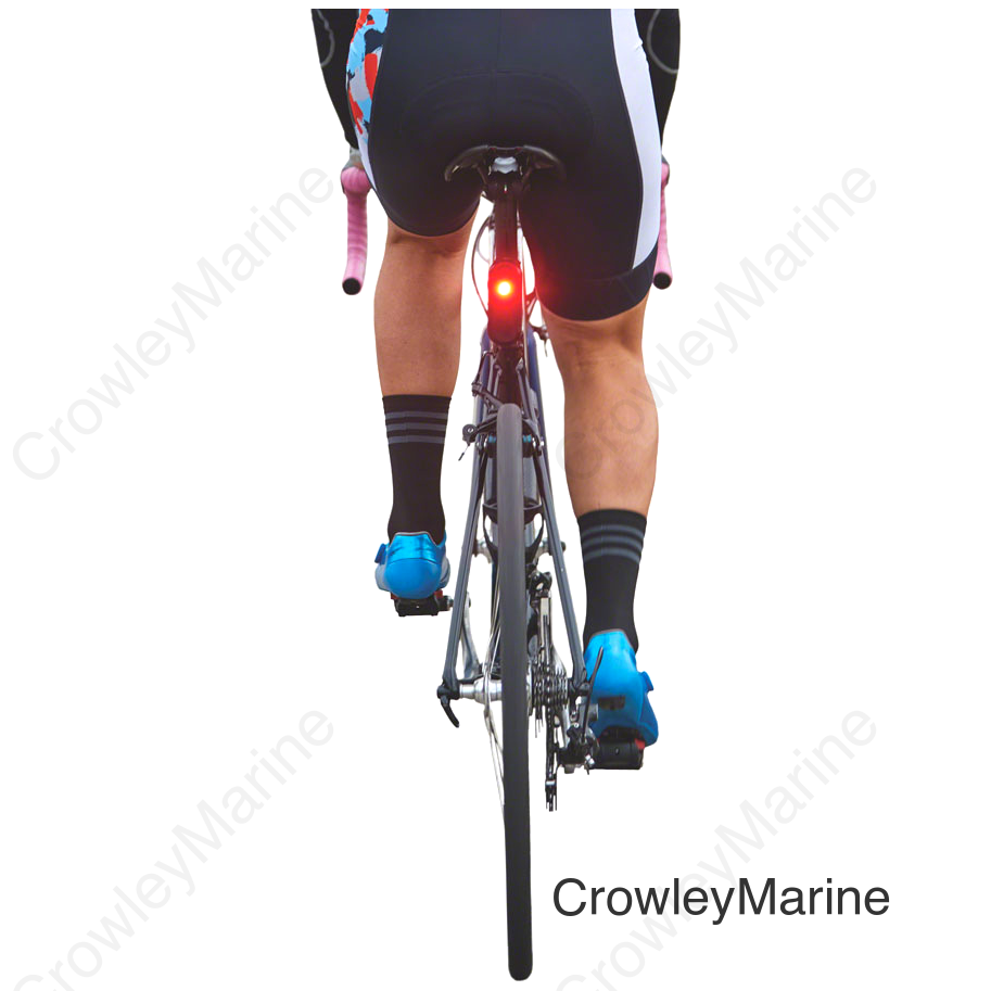Garmin Varia RCT715 Rear View Radar With Camera and Taillight