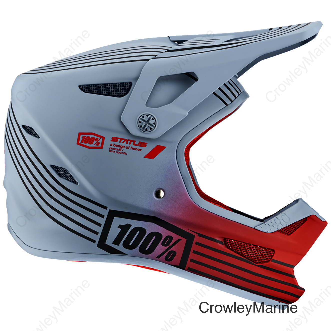 Status Helmet - Caltec/Gray - Medium