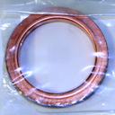 Exhaust Pipe Gasket