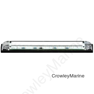6", 12 White LEDs