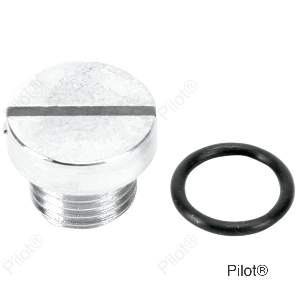 Oil Screen Plug - Chrome - Big Twin