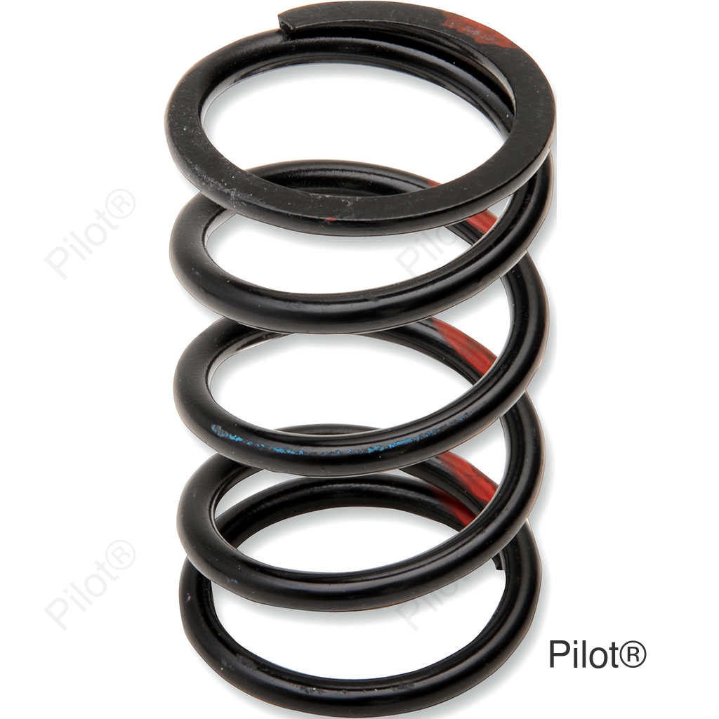 Primary Spring