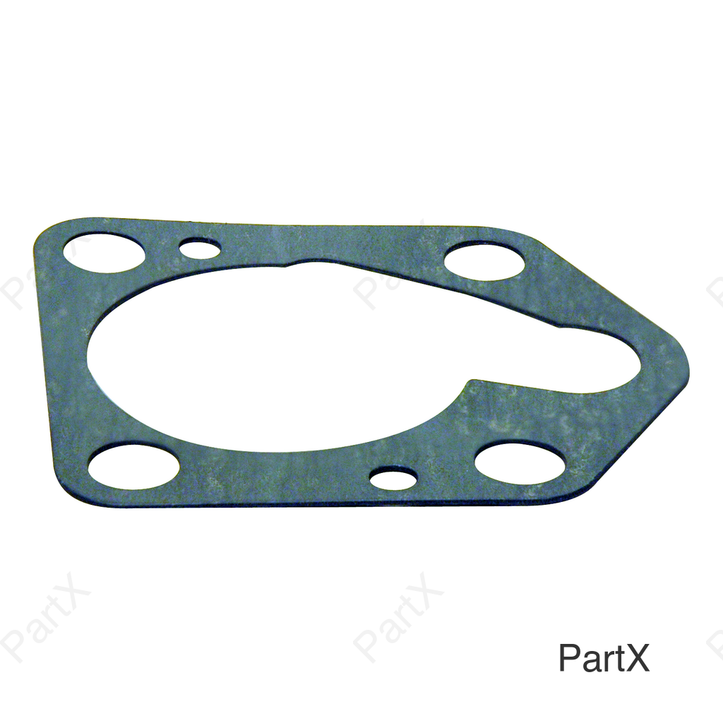 Gasket (38150)
