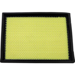 Air Filter - Polaris